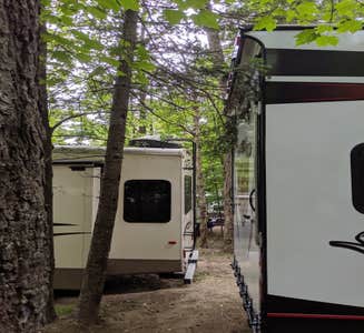 Camper-submitted photo from Old Forge Camping Resort