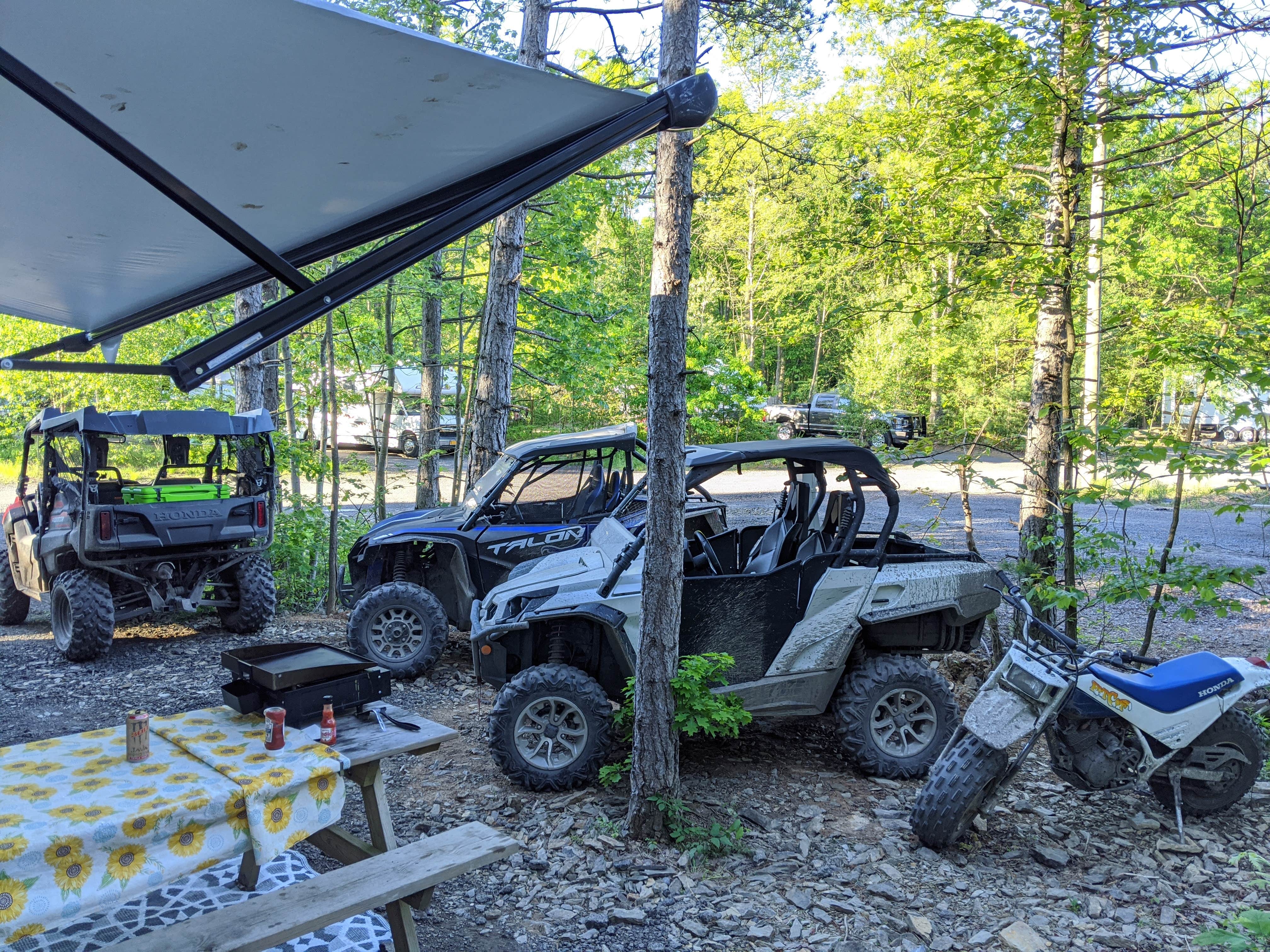 Camper-submitted photo at Trailhead Campground near Mount Carmel, PA