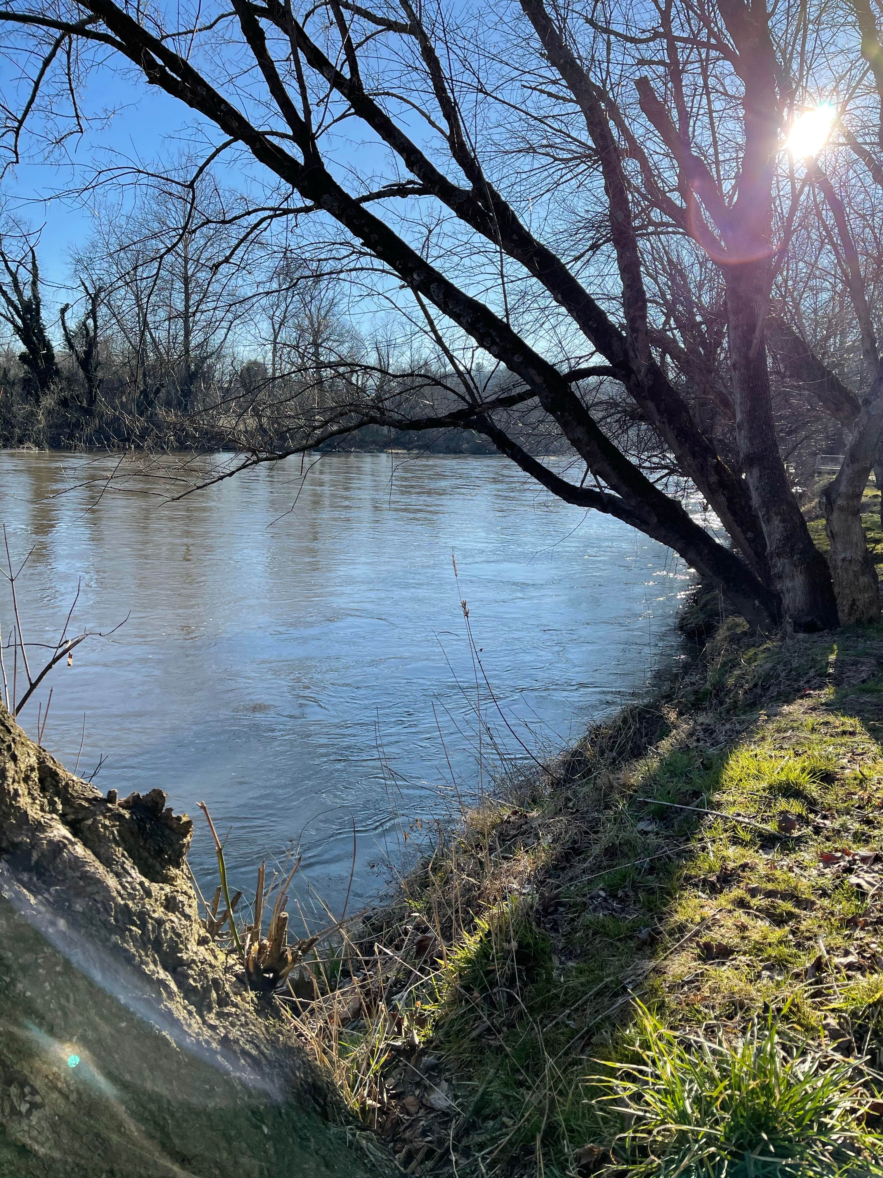 Camper-submitted photo at Wilson's Riverfront RV Park near Candler, NC