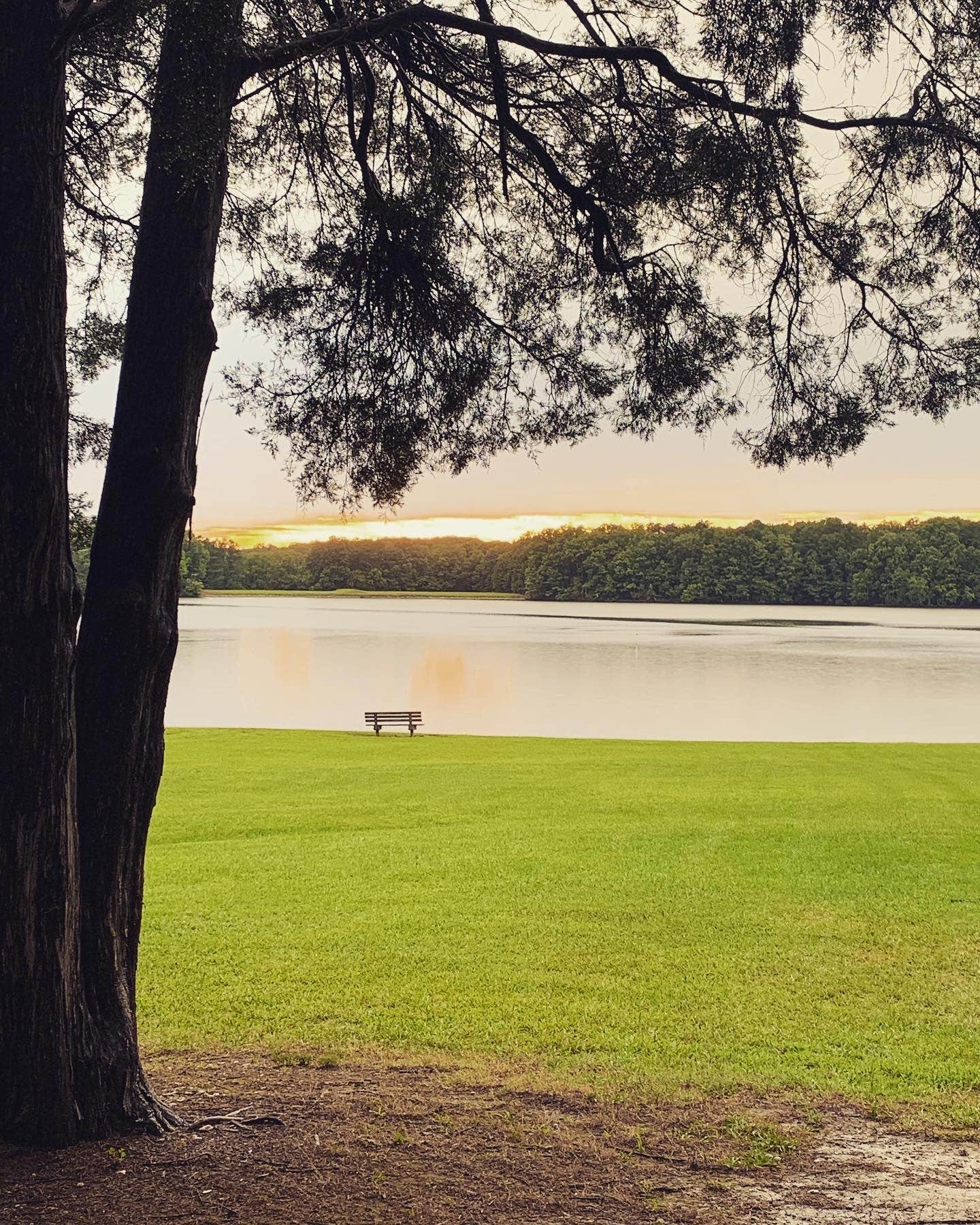 Camper submitted image from Cane Creek Park - 1