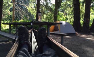 Art S.'s photo at Dosewallips State Park Campground near Quilcene, WA