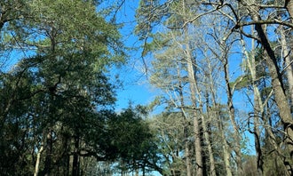 Camping near Oak Plantation Campground: Mount Pleasant-Charleston KOA, Mount Pleasant, South Carolina
