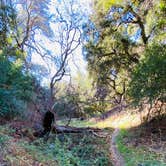 Review photo of Mt. Figueroa Campground by Alejandro L., February 20, 2021