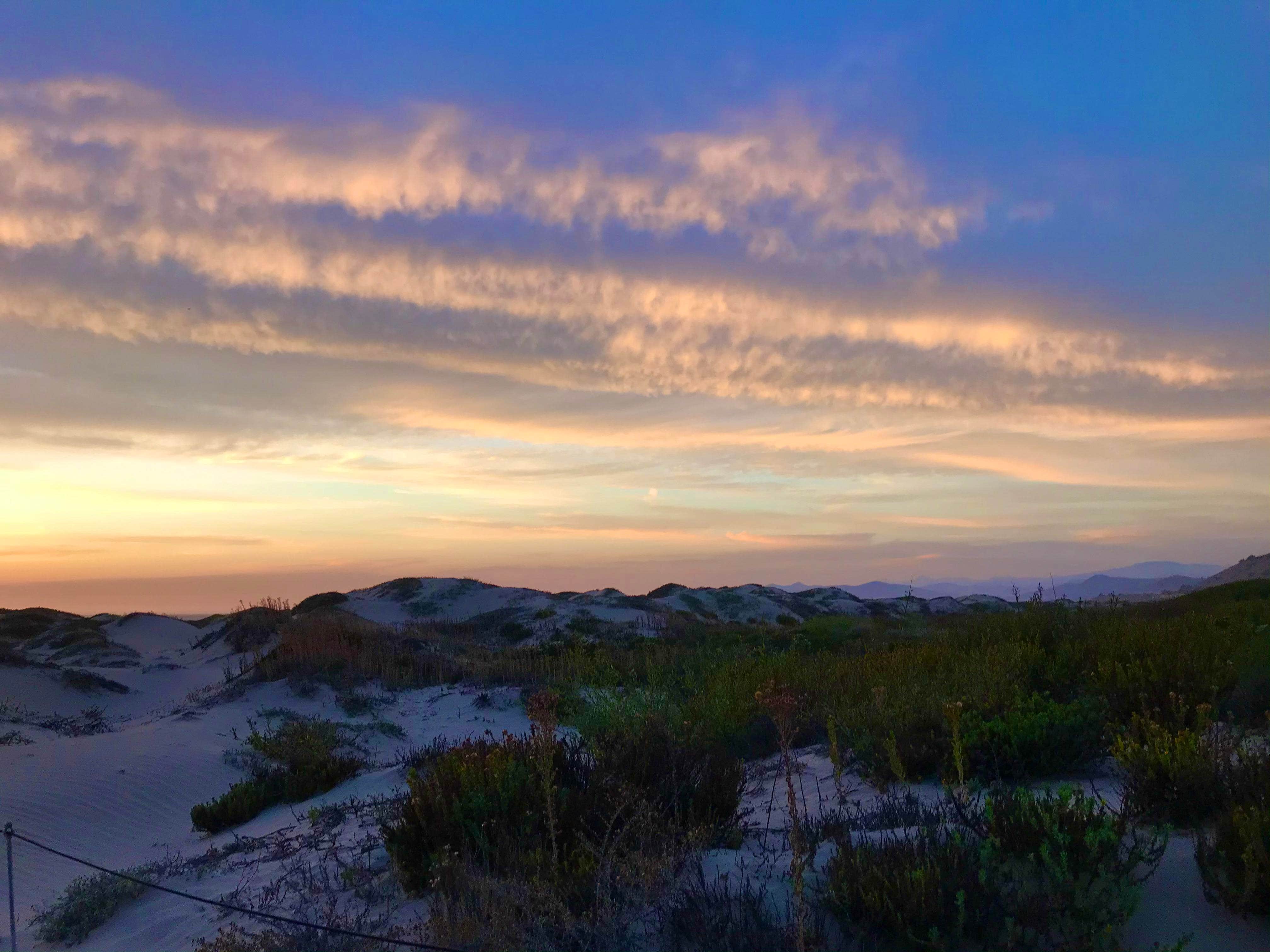 Camper-submitted photo at Morro Strand State Beach Campground near San Luis Obispo, CA
