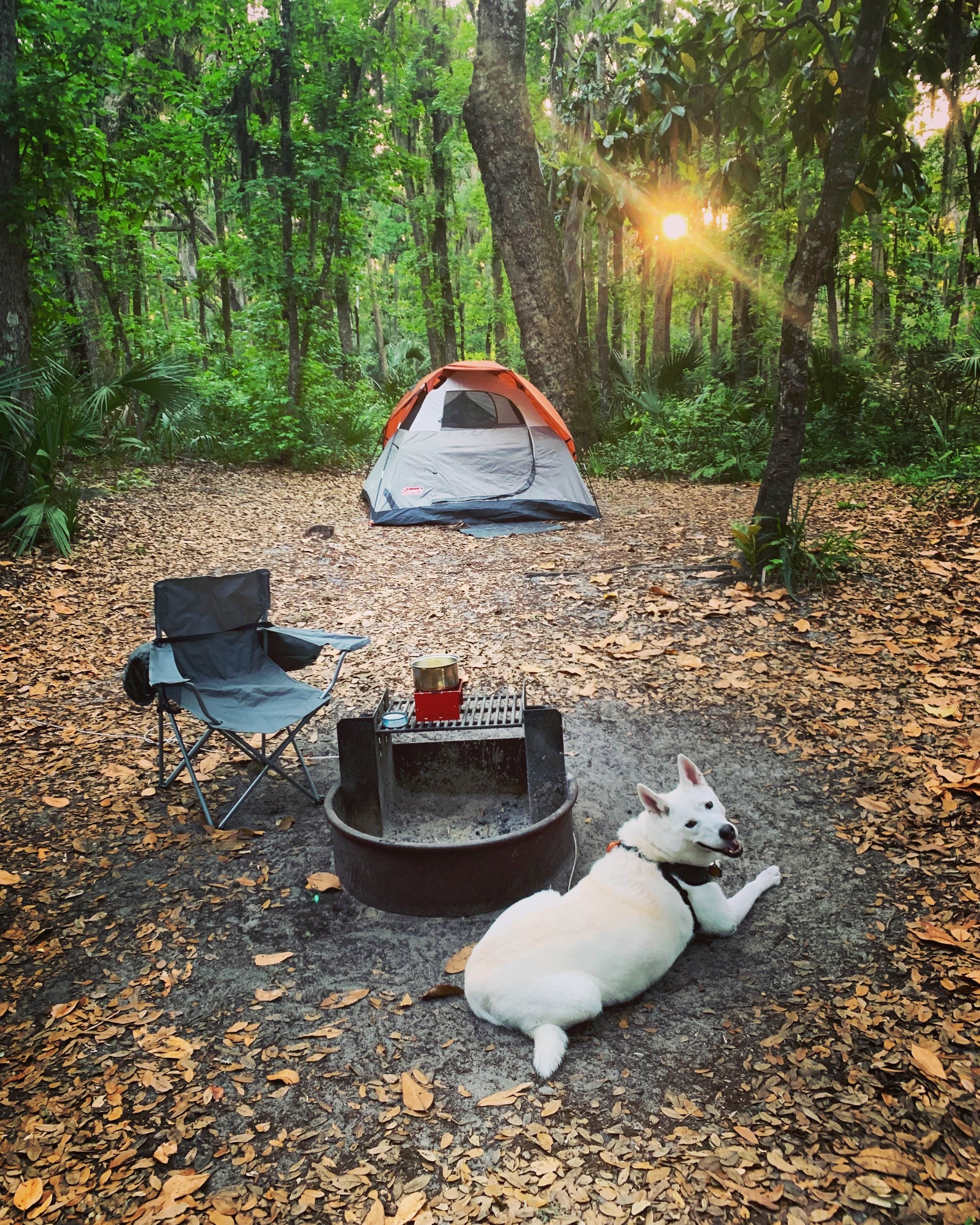 Jenn M.'s photo at Kathryn Abbey Hanna Park near Ponte Vedra Beach, FL