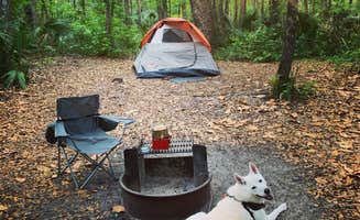 Jenn M.'s photo at Kathryn Abbey Hanna Park in Florida