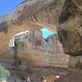 Review photo of Fruita Campground — Capitol Reef National Park by Amy B., May 29, 2018