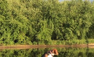 Adam's photo of camping with pets at Superior National Forest McDougal Lake Campground near Superior National Forest