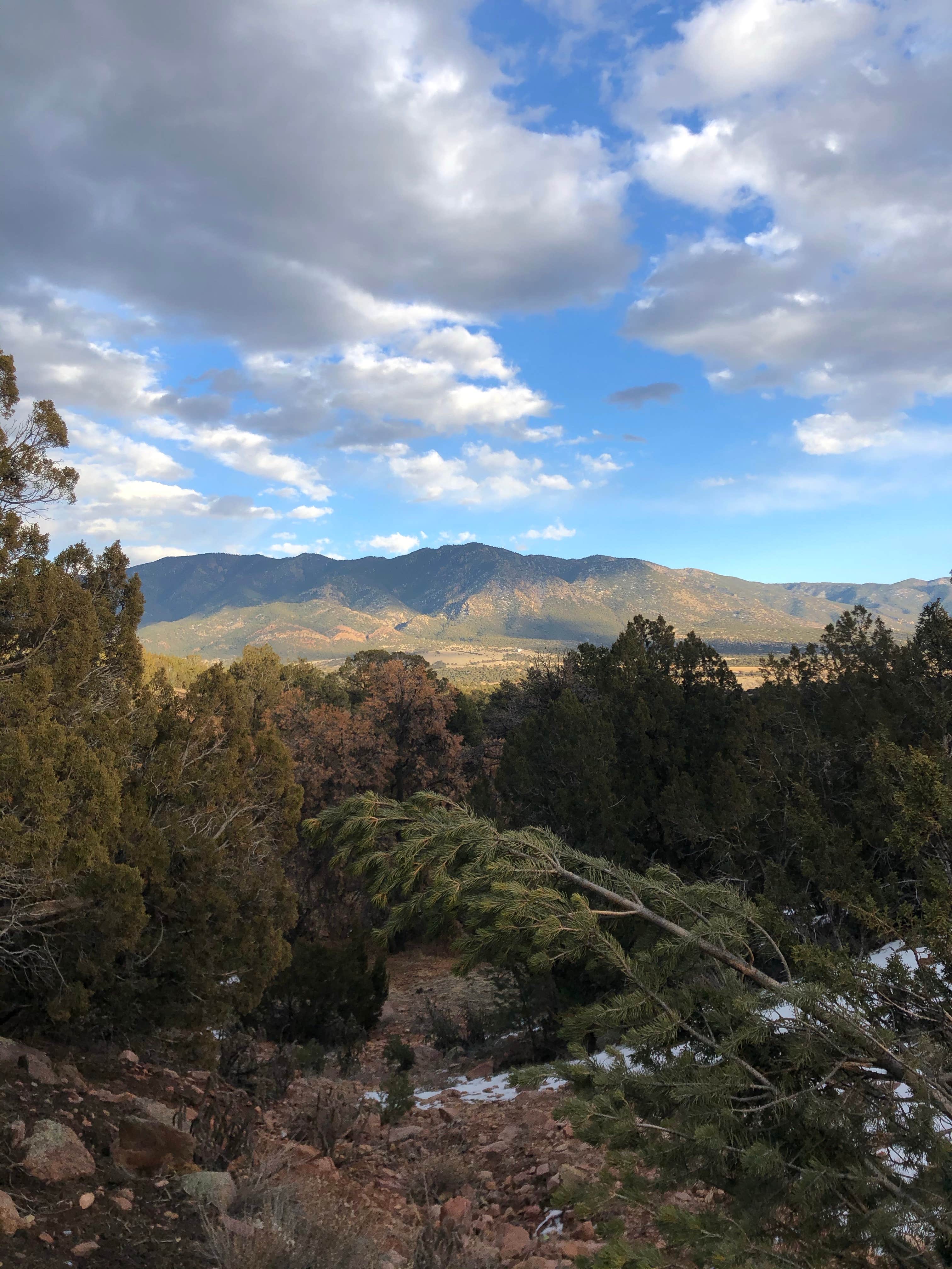Camper-submitted photo at Red Canyon Park near Howard, CO