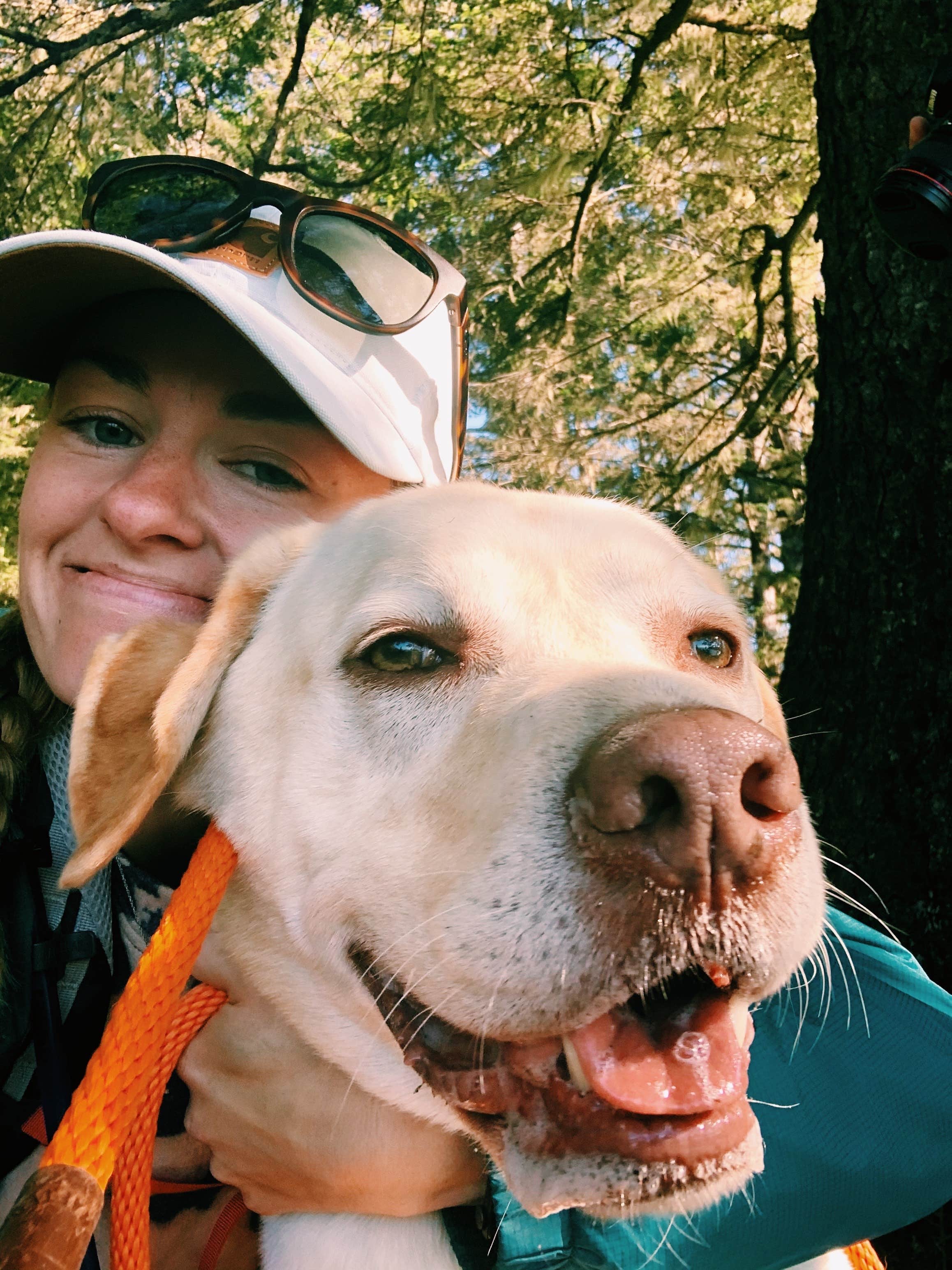 Camper-submitted photo at Sunset Bay State Park Campground near Bandon, OR
