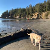 Review photo of Sunset Bay State Park Campground by Carlyne F., February 21, 2021