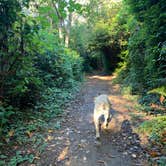 Review photo of Sunset Bay State Park Campground by Carlyne F., February 21, 2021