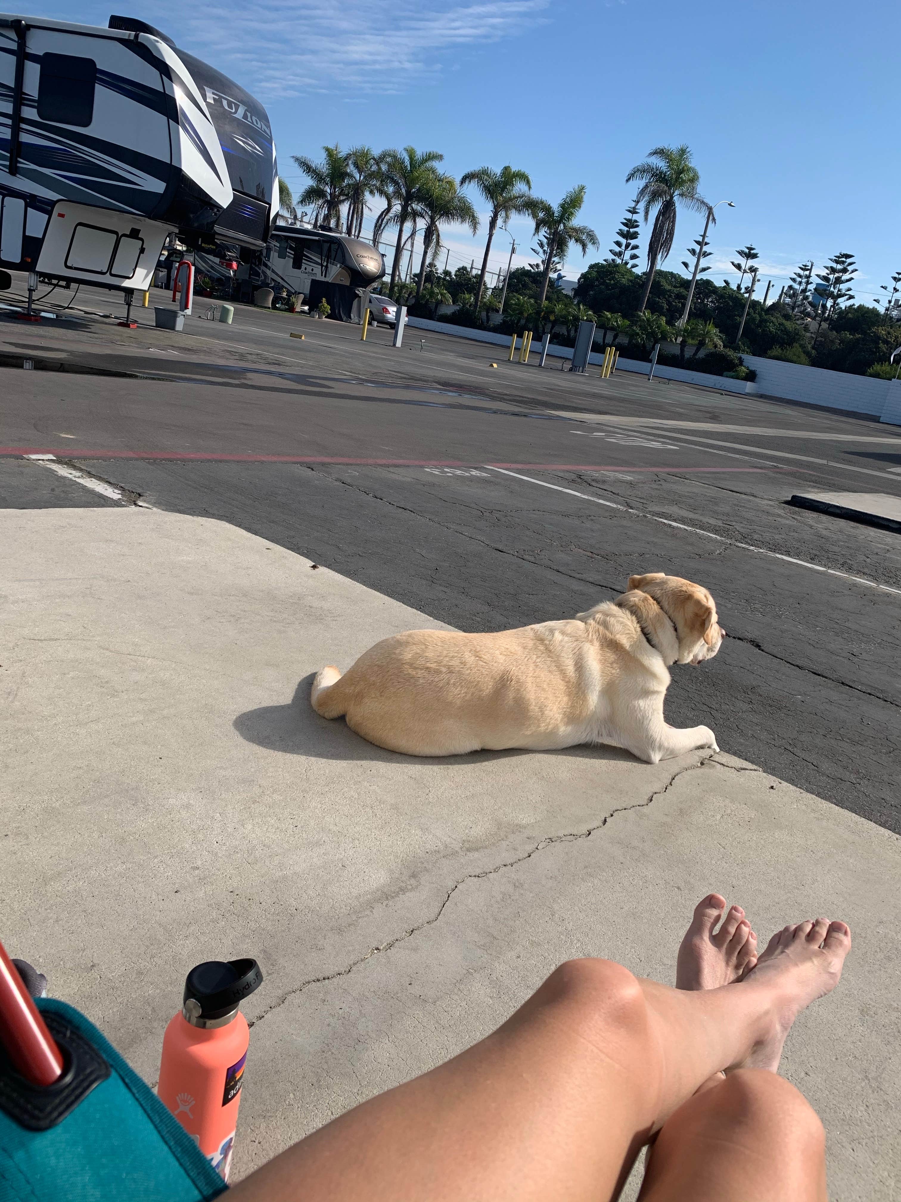 Carlyne F.'s photo of camping with pets at Waterfront RV Park near South Gate, CA