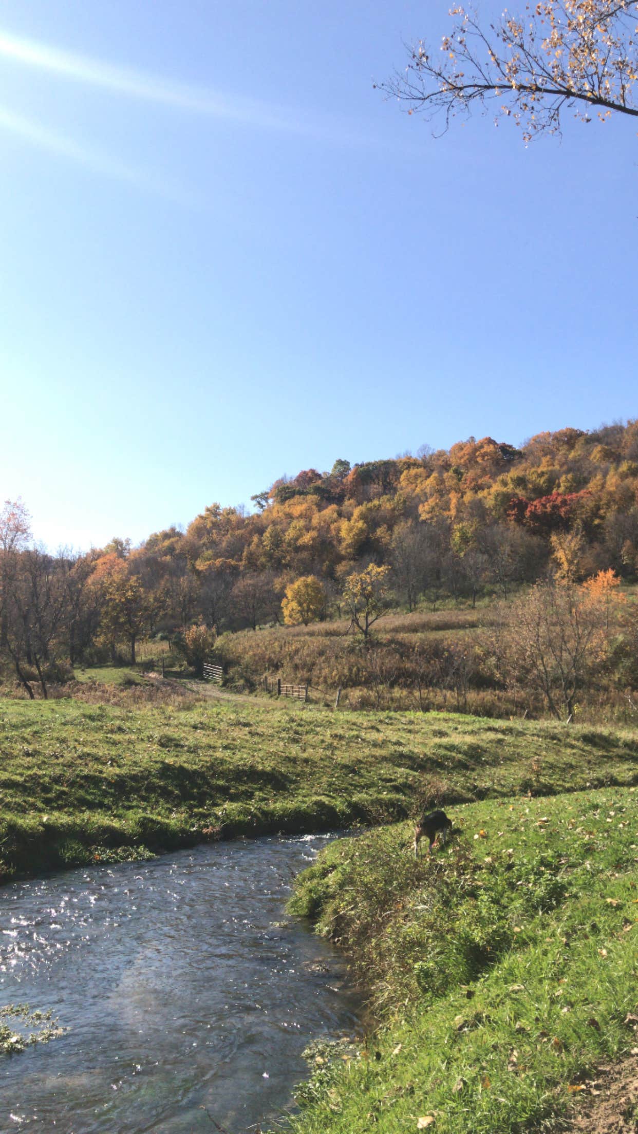 Camping near Russell Memorial Park: Wildcat Mound County Park, Humbird, Wisconsin
