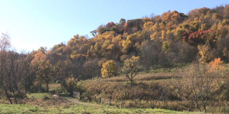 Camper submitted image from Wildcat Mound County Park