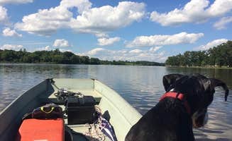 Adam's photo of a dispersed camping area at Lower Wisconsin Riverway in Wisconsin