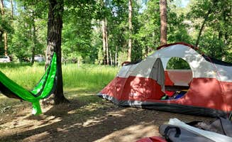 Shea M.'s photo at Grizzly Creek Primitive near Keystone, SD