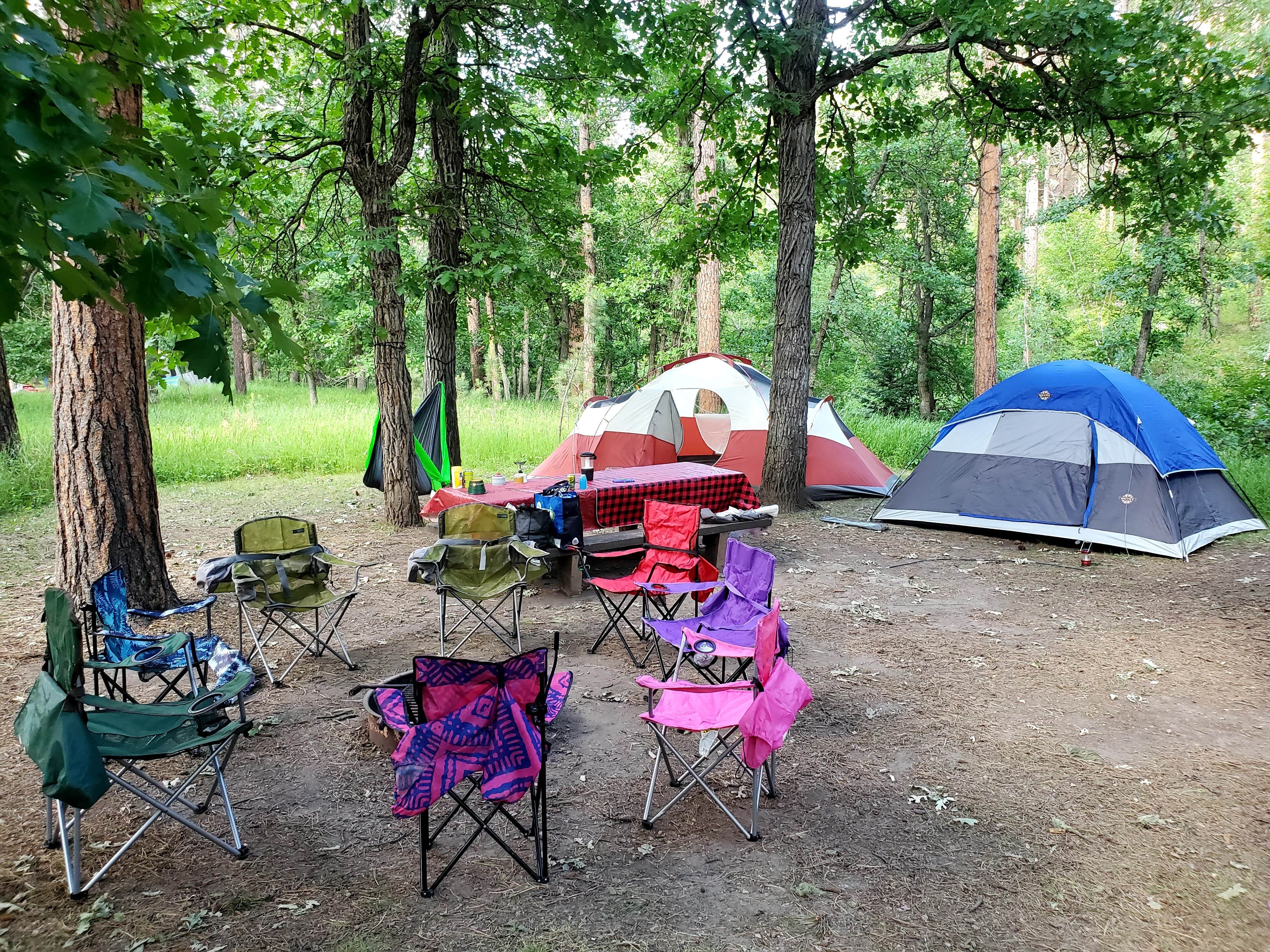 Shea M.'s photo at Grizzly Creek Primitive near Keystone, SD