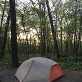 Review photo of Redding Campground by Jacki B., May 29, 2018