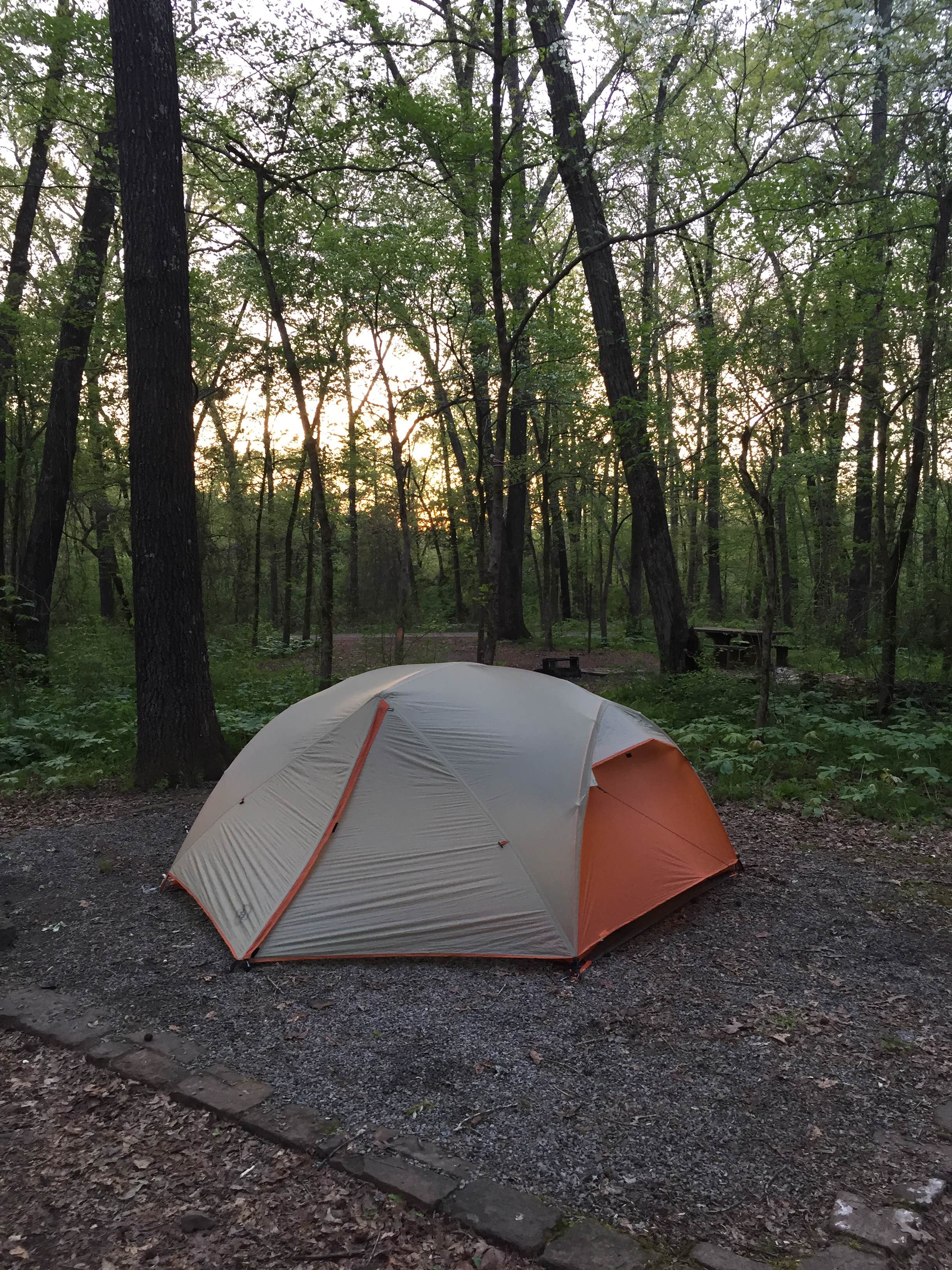 Camper submitted image from Redding Campground - 2