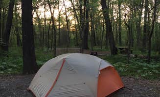Jacki B.'s photo at Redding Campground near Alix, AR
