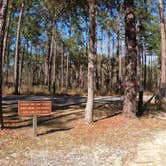 Review photo of Blackwater River State Park Campground by Gregg G., February 21, 2021