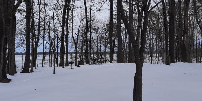 Camper submitted image from Cane Creek State Park Campground