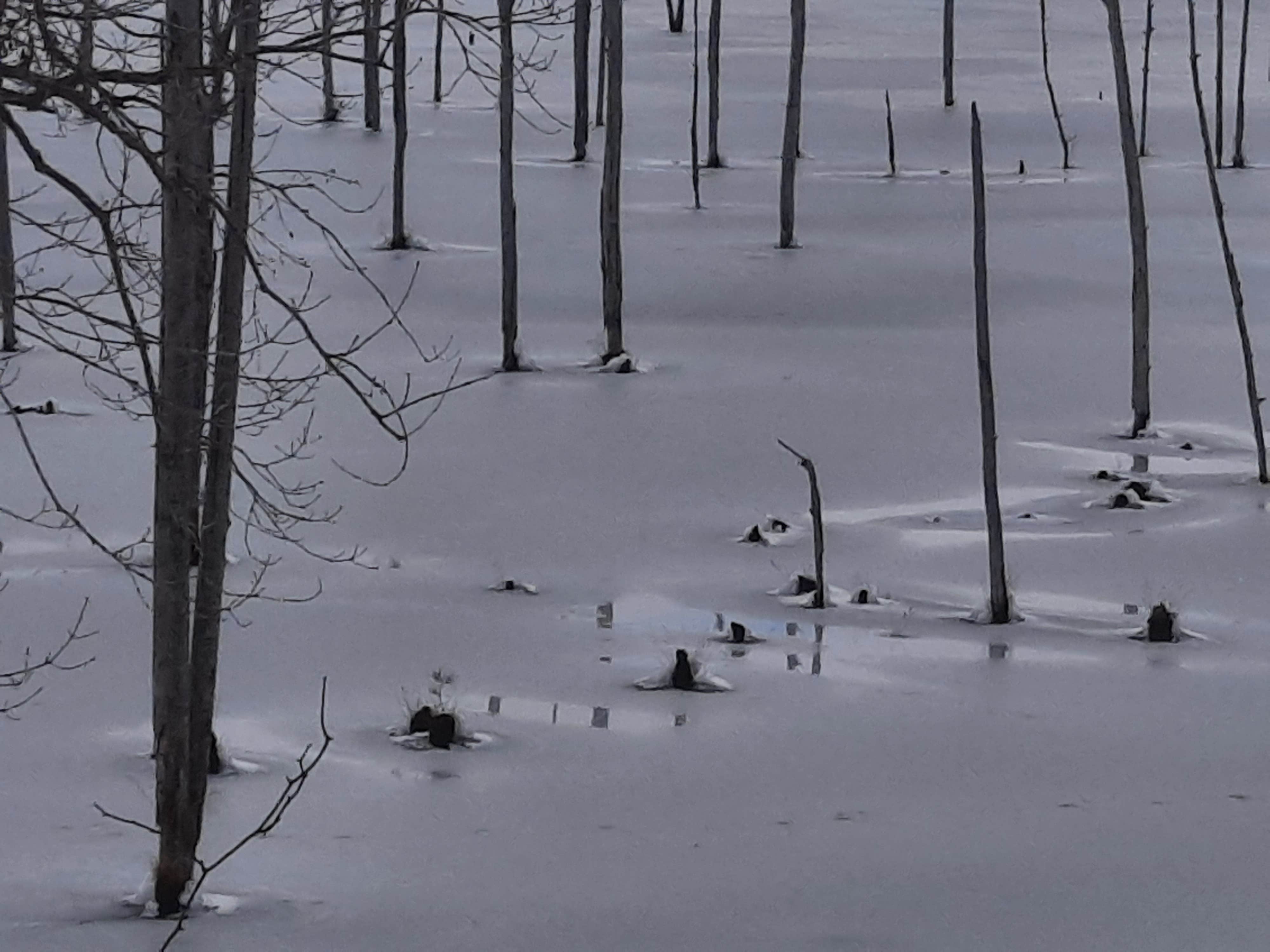 Camper-submitted photo at Cane Creek State Park Campground near Arkansas River - Pool 3