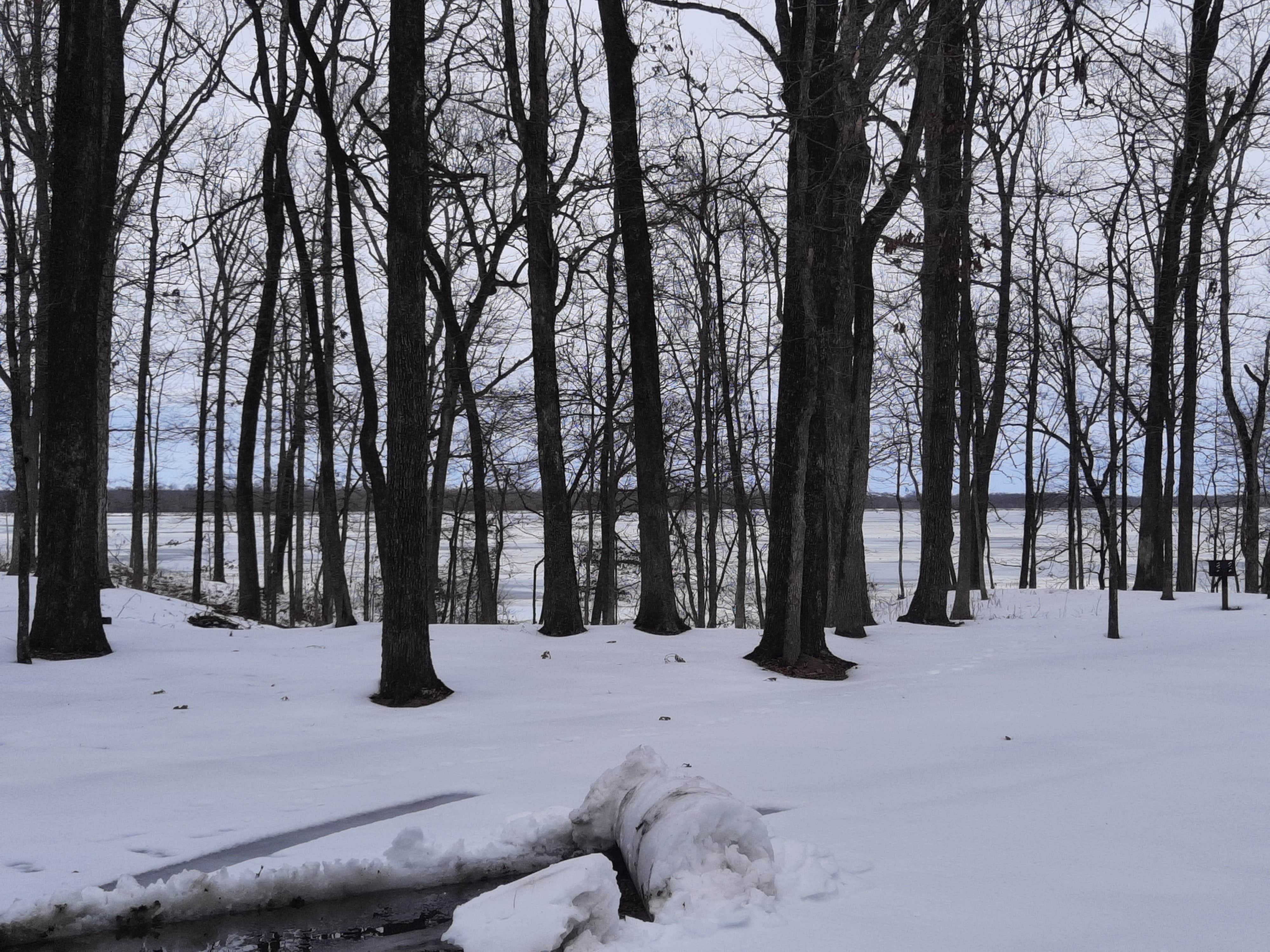 Camper-submitted photo at Cane Creek State Park Campground near Arkansas River - Pool 3