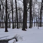 Review photo of Cane Creek State Park Campground by Steve S., September 20, 2020