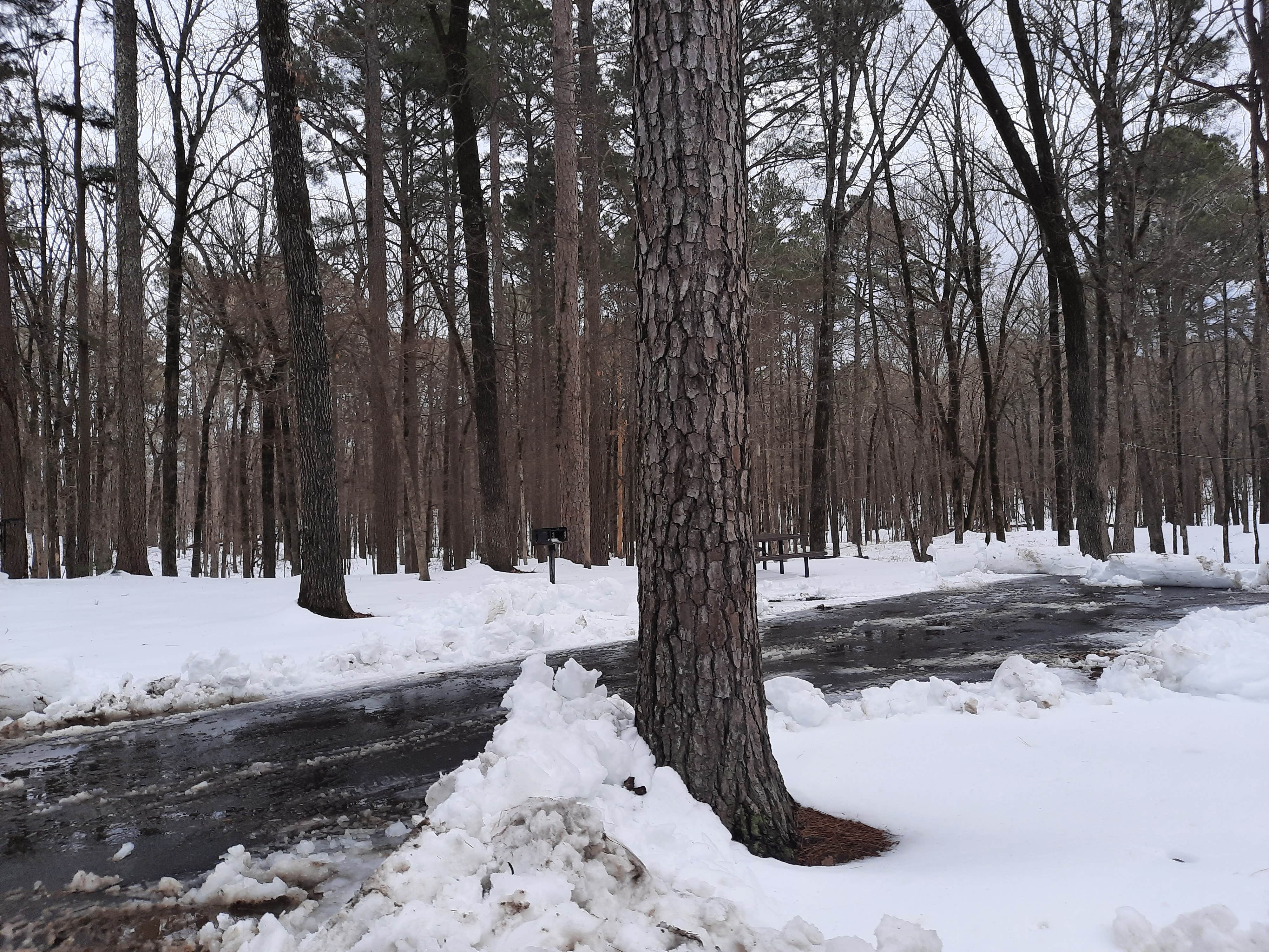 Camper-submitted photo at Cane Creek State Park Campground near Arkansas River - Pool 3