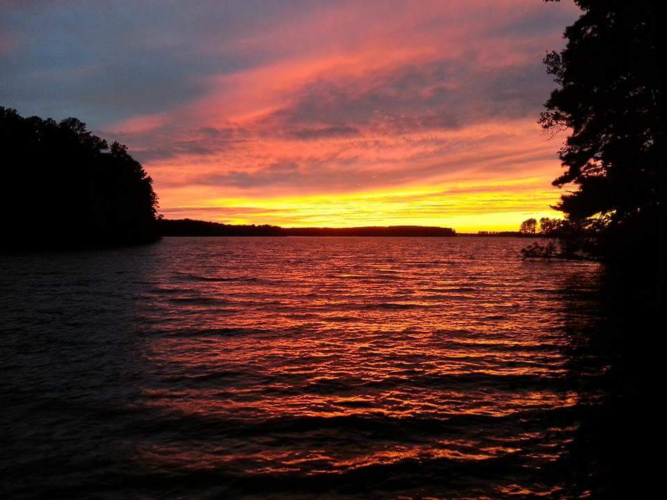 Camper submitted image from Dreher Island State Park - 2