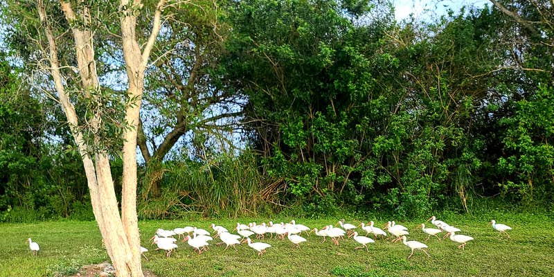 Camper submitted image from South Bay RV Campground