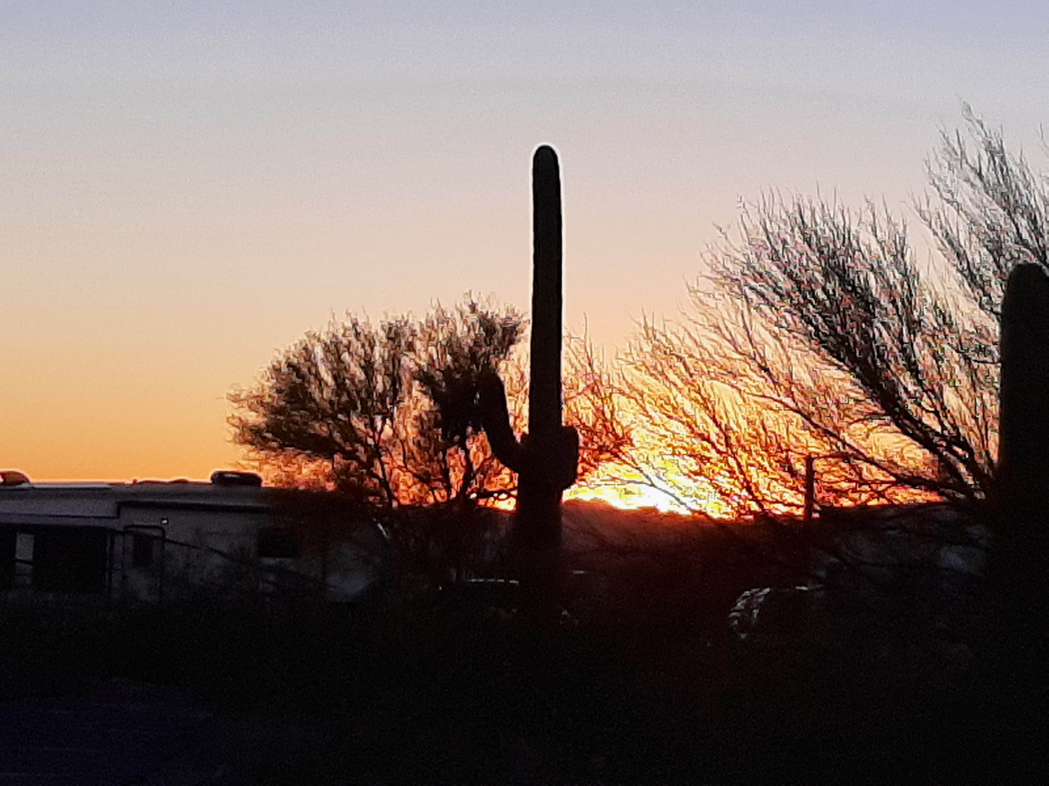 Arizona photo 5