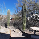 Review photo of Gilbert Ray Campground by Larry B., February 22, 2021