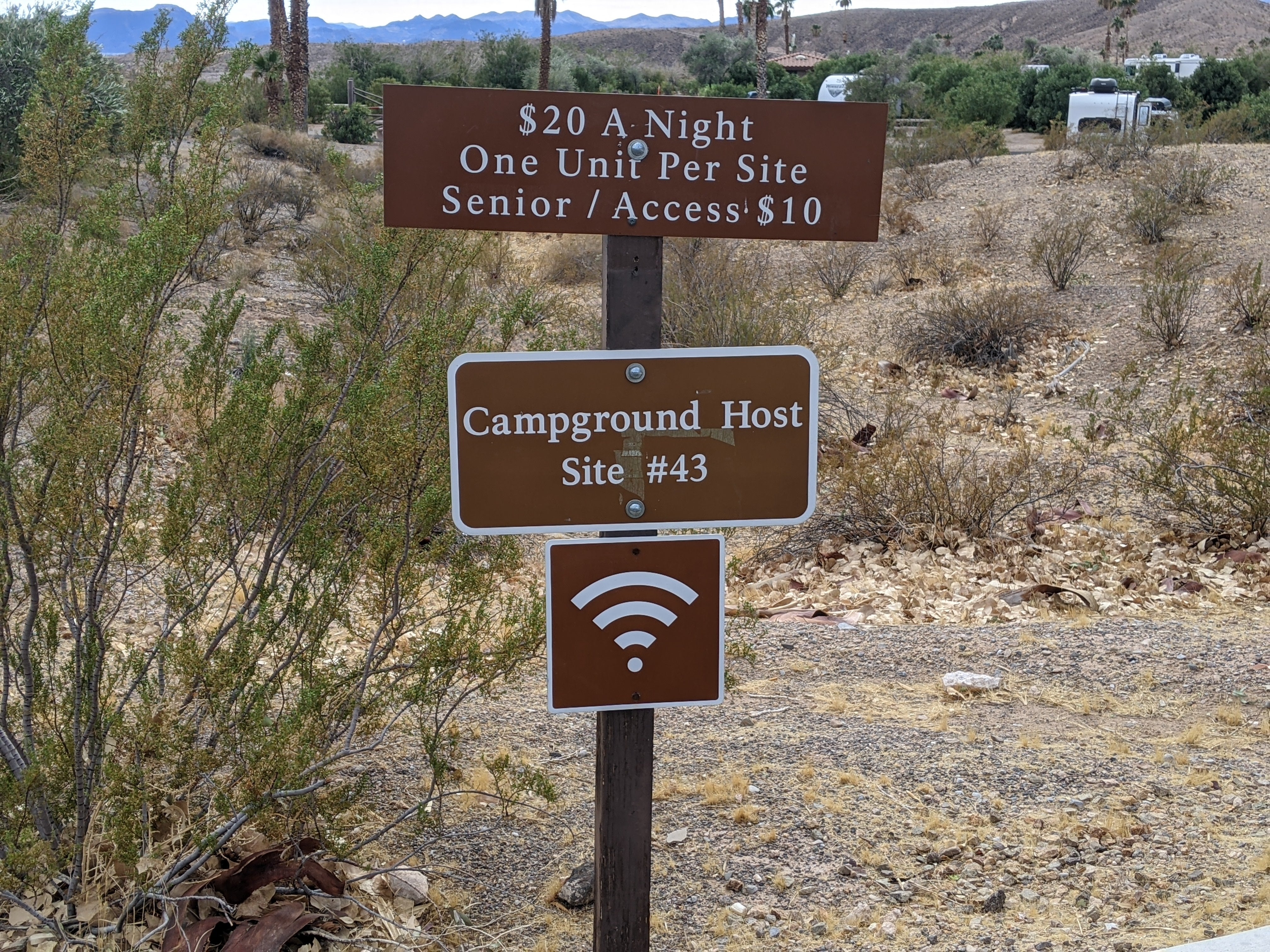 Camper submitted image from Callville Bay Campground — Lake Mead National Recreation Area - 2