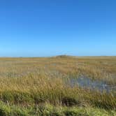 Review photo of Long Pine Key Campground — Everglades National Park by Kelly R., February 22, 2021