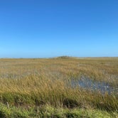 Review photo of Long Pine Key Campground — Everglades National Park by Kelly R., February 22, 2021