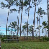 Review photo of Long Pine Key Campground — Everglades National Park by Kelly R., February 22, 2021