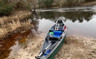 Camper-submitted photo from Suwannee River State Park
