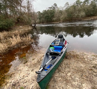 Camper-submitted photo from Suwannee River State Park