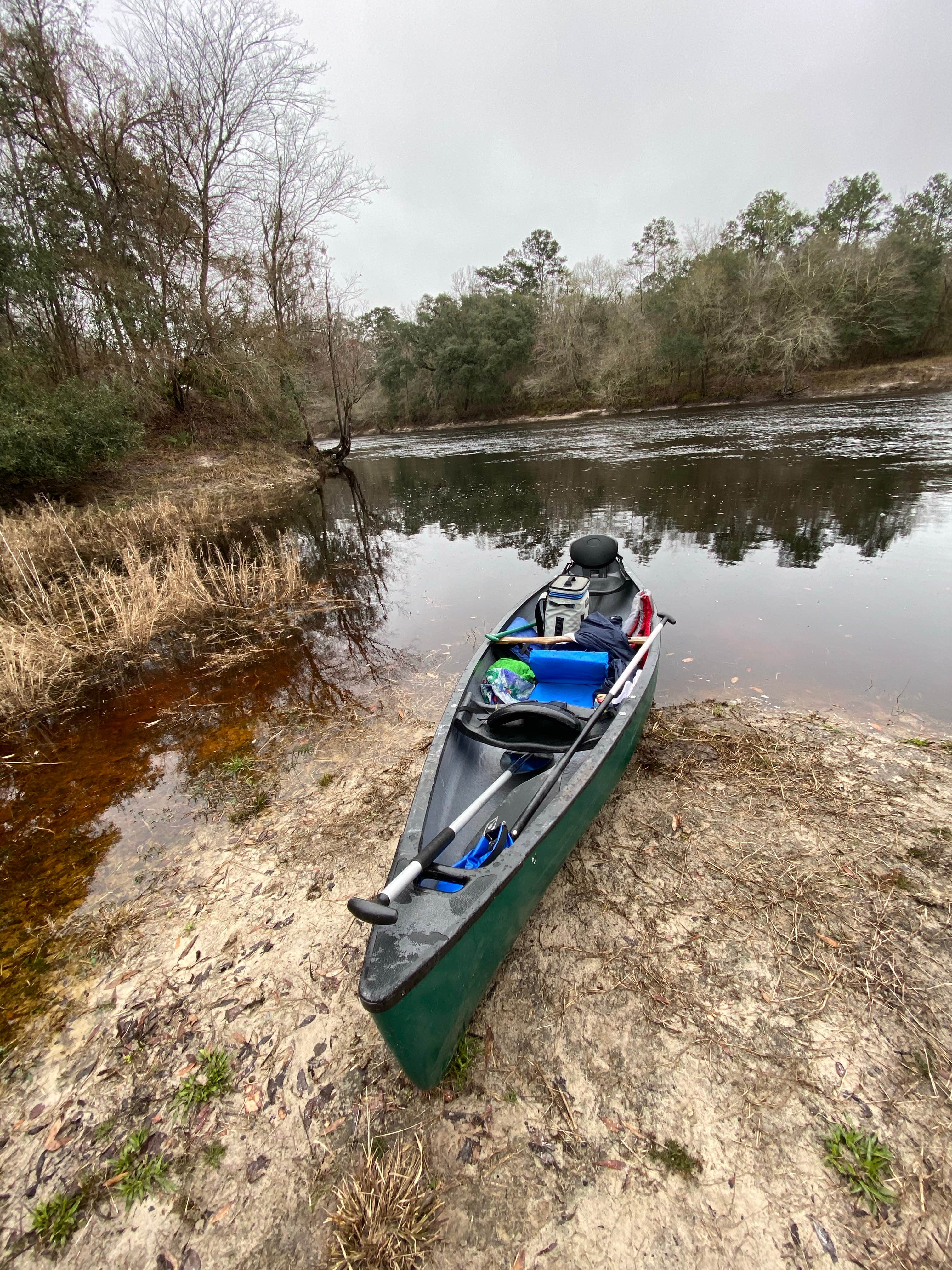 Camping near Holton Creek River Camp — Suwannee River Wilderness Trail: Suwannee River State Park Campground, Live Oak, Florida