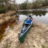 Review photo of Suwannee River State Park Campground by Kelly R., February 22, 2021