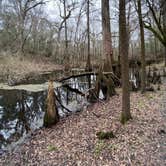 Review photo of Suwannee River State Park Campground by Kelly R., February 22, 2021