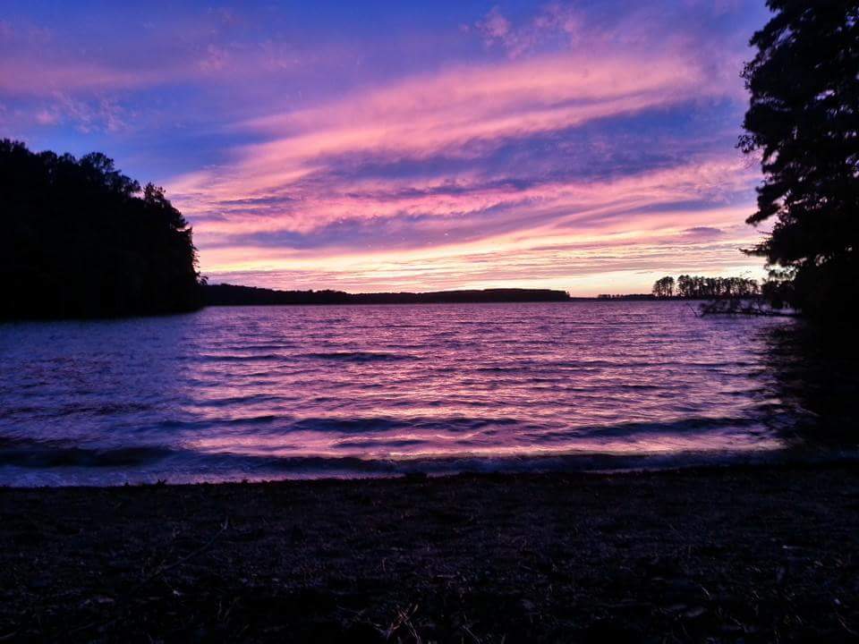 Camper submitted image from Dreher Island State Park Campground - 3