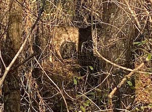 Franklin D Roosevelt State Park Campground