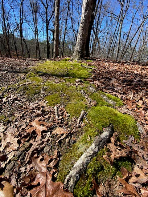 Camper-submitted photo at Franklin D Roosevelt State Park Campground near Thomaston, GA