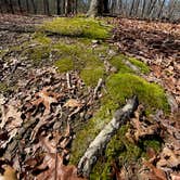 Review photo of Franklin D Roosevelt State Park Campground by carolyn , February 22, 2021