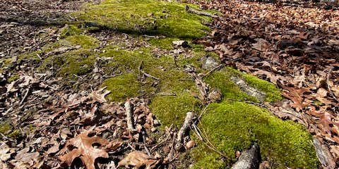 Camper submitted image from Franklin D Roosevelt State Park Campground