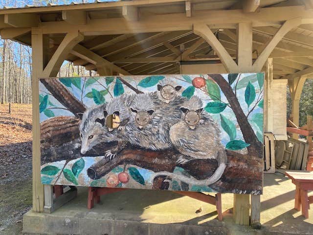 Camper-submitted photo at Franklin D Roosevelt State Park Campground near Thomaston, GA